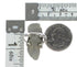 Authentic Sterling Silver Navajo Gaspeite Leaf Ring Size 5-3/4 RX118118